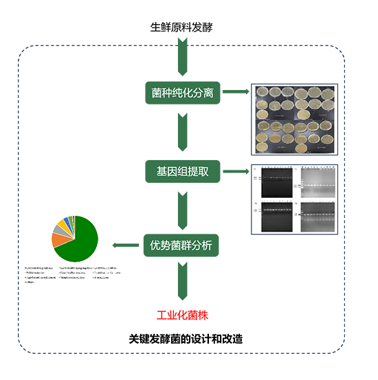 天然发酵增香技术