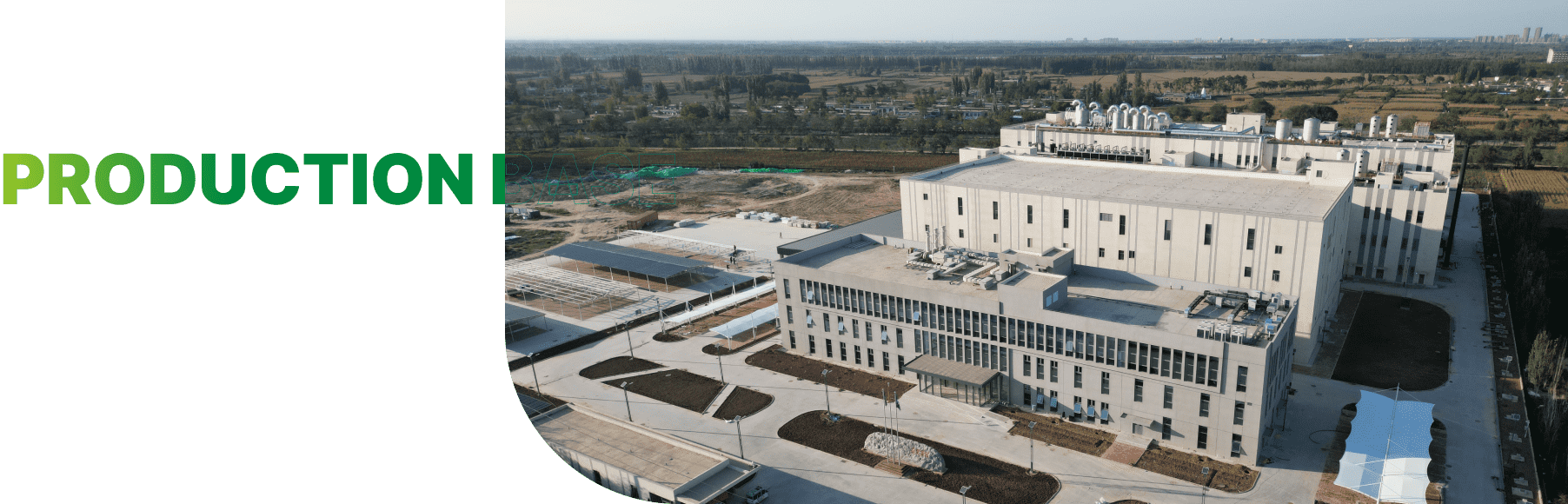 生产基地：春发（宁夏）